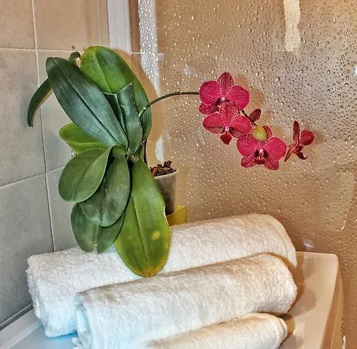 Apartman La Casetta *